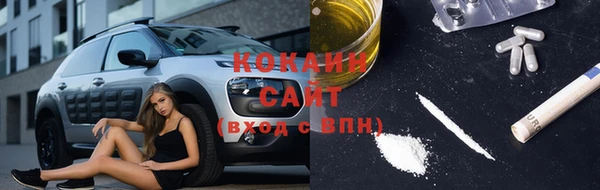 прущие крисы Абаза
