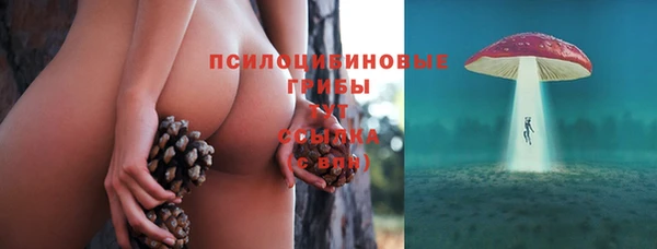 2c-b Абинск