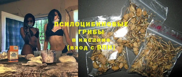 прущие крисы Абаза