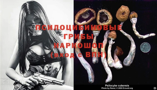 прущие крисы Абаза