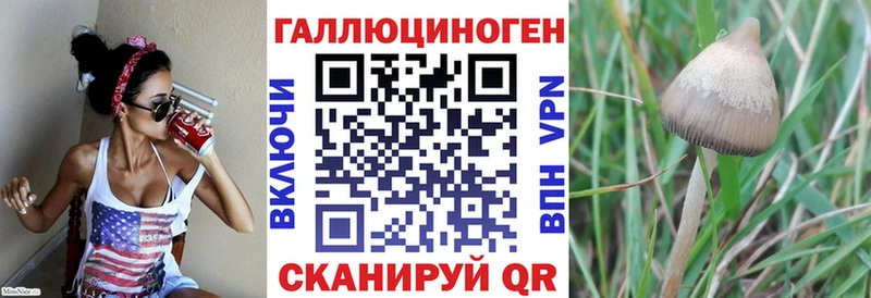 Галлюциногенные грибы Psilocybine cubensis  как найти закладки  Елизаветинская 